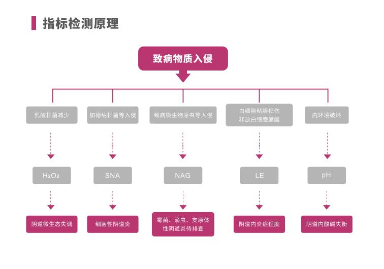 全自动阴道炎羞羞视频在线免费看LTS-V400指标检测原理