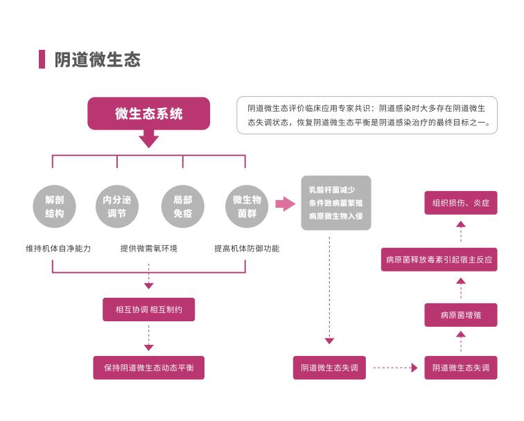 全自动阴道炎羞羞视频在线免费看LTS-V400阴道微生态系统